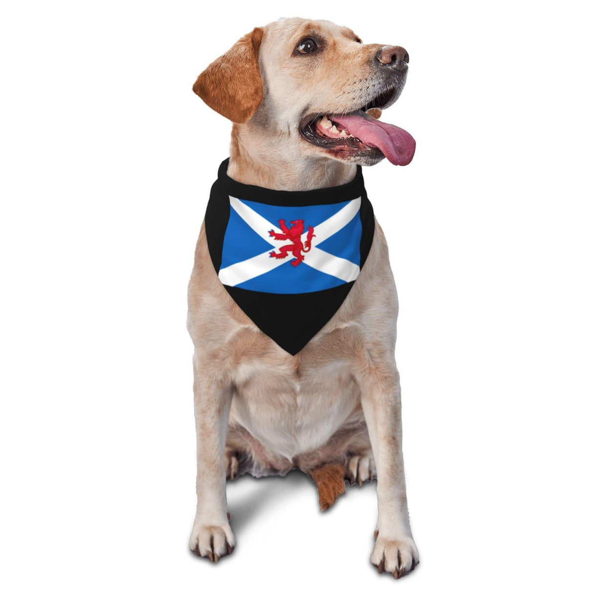 Lion Rampant Scotland Scottish Triangle Dog Bandana Scarf Accessories for Pet Bibs