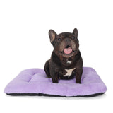 Wrkfree Dog Crate Bed 24 x 18 Purple for Small Dogs - Washable Comfy Fluffy for 24 Inches Cage Kennel - Indoor and Outdoor Use