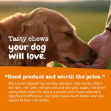 Zesty Paws Dog Allergy Relief Chews, Dog Probiotics for Itchy Skin and Ears, Lamb, 50ct
