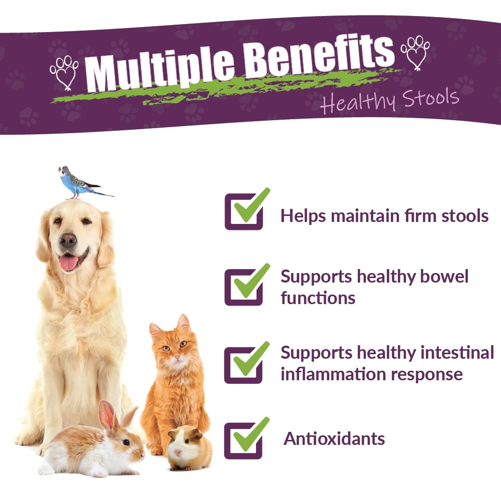 Amber NaturalZ Kochi Free Herbal Supplement for Dogs, Cats, Birds, Guinea Pigs, and Rabbits | Pet Herbal Supplement for Healthy Stool Support | 1 Fluid Ounce Glass Bottle | Manufactured in The USA