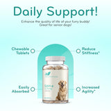Liver Support for Dogs with SAM-e - Chewable SAM-e for Dogs Bone Mood Brain and Liver Support Supplement with Easy Absorption 225mg S-Adenosyl-L-Methionine - Made in a cGMP US Lab (Single)