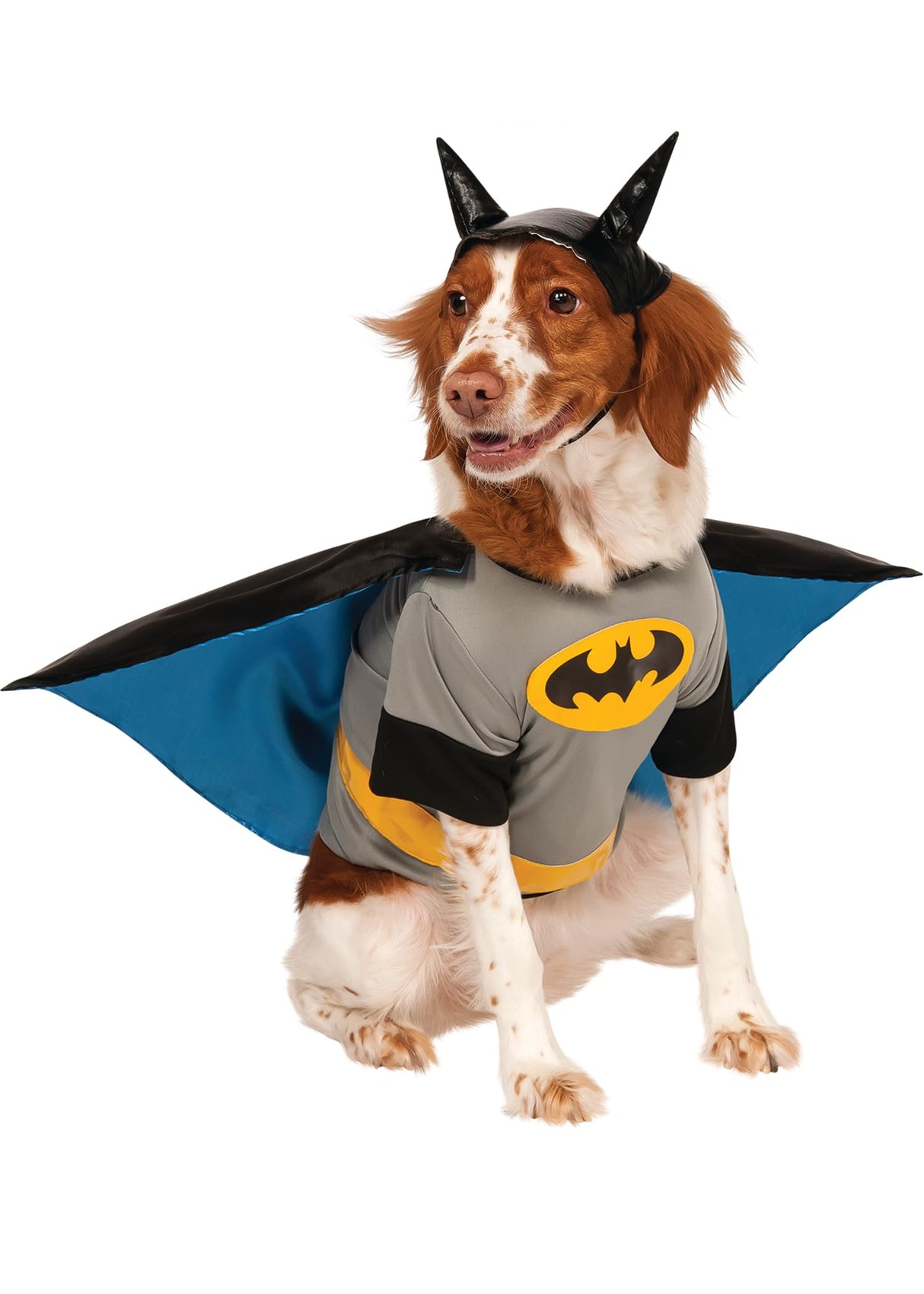 DC Comics Superheroes: Batman Pet Costume for Dogs or Cats by Rubies, Large