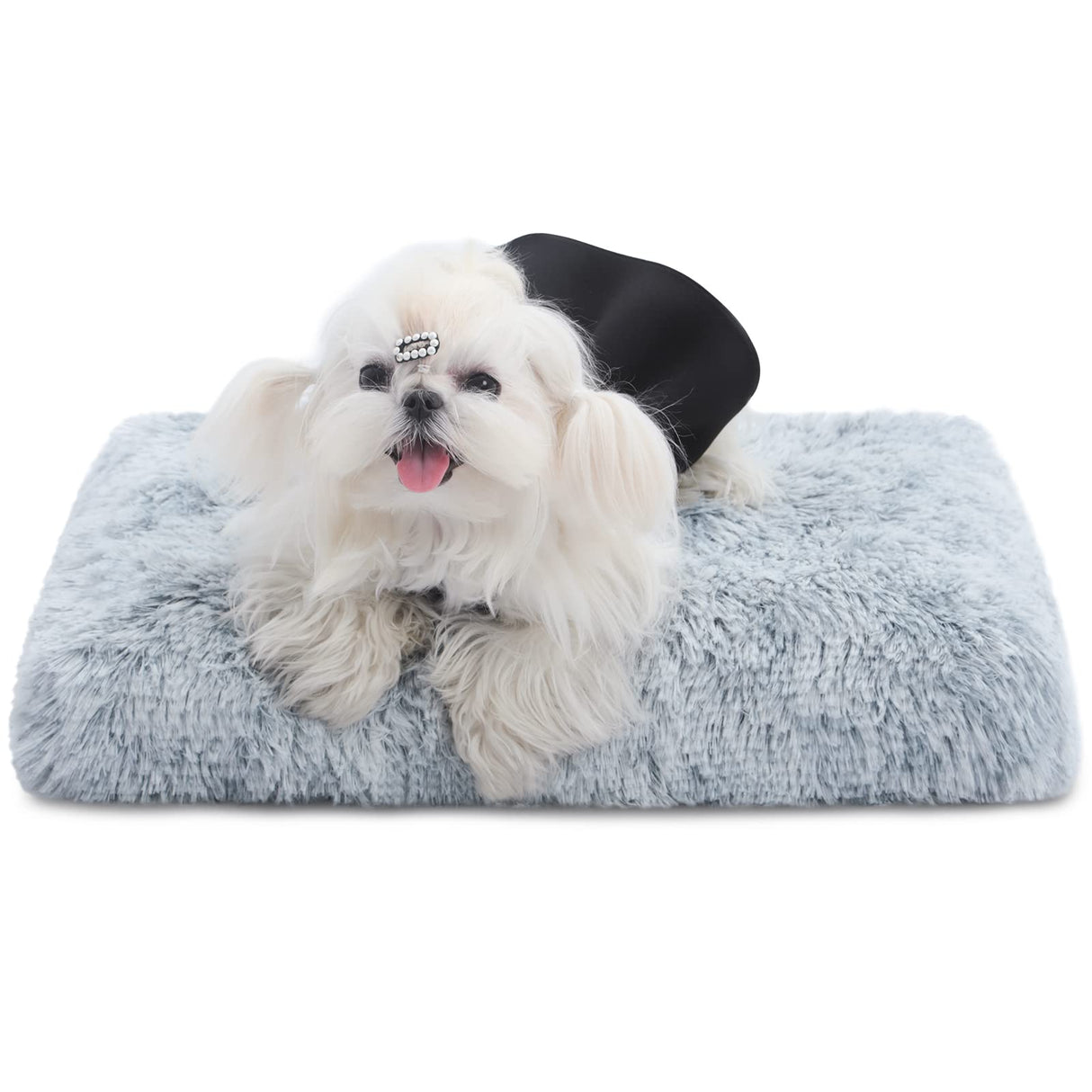 CHAMPETS Washable Dog Bed for Small Dogs with Removable Cover, Super Soft Waterproof Dog Crate Bed with Non-Slip Bottom, Fluffy Pet Bed 24×18 Inch, Grey