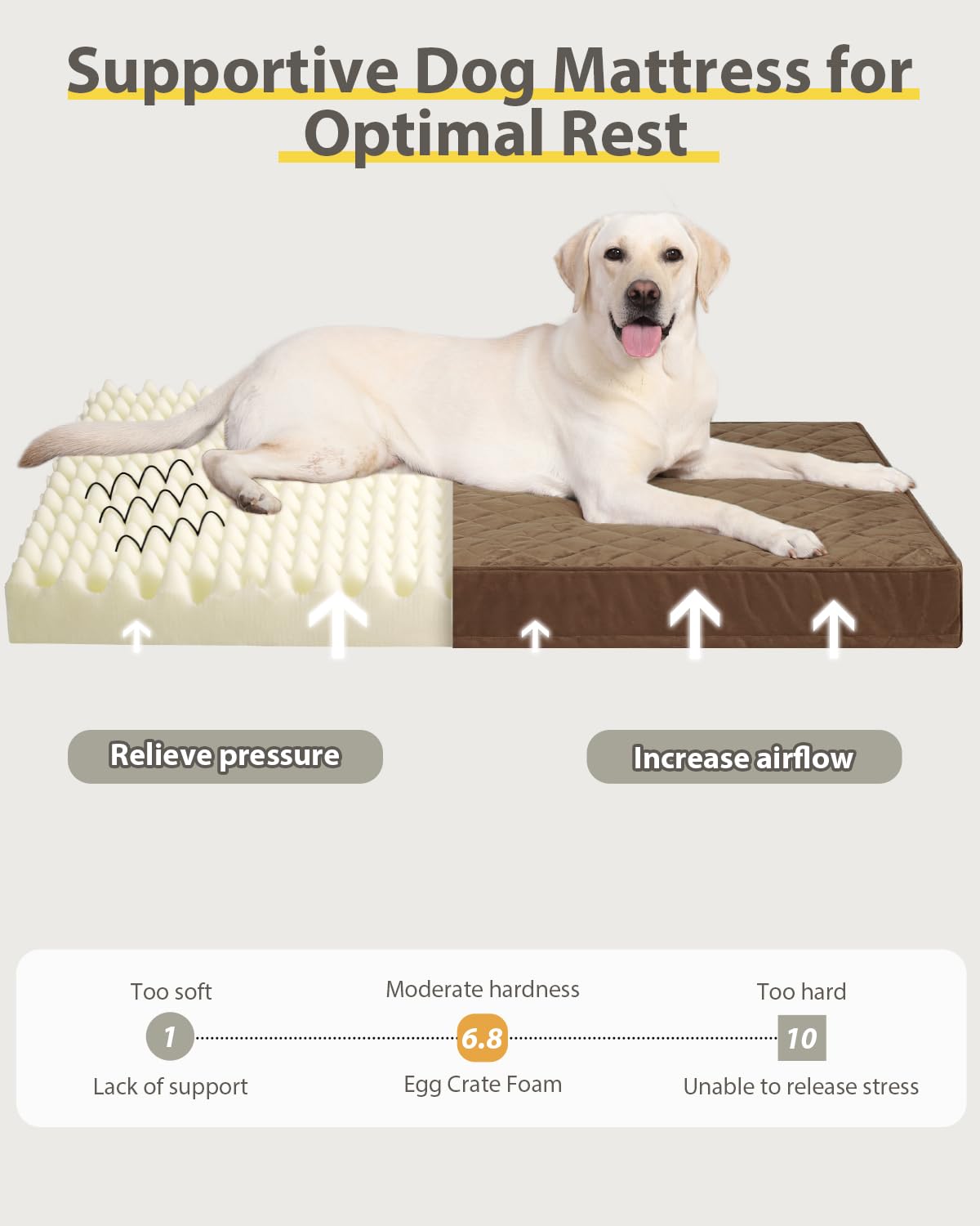 NUPIDA Orthopedic XL Dog Beds Large Sized Waterproof with Removable Washable Cover and Non-Slip Bottom, Quilting Dog Bed for Crate, 41x27 Inch, Brown