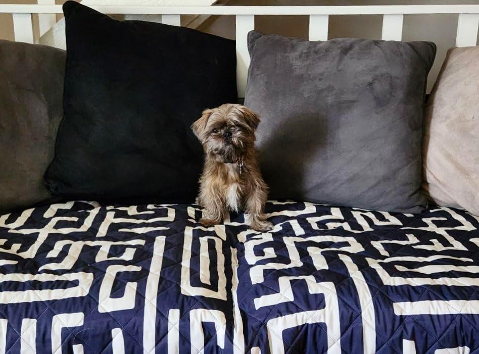 One Another Goods Waterproof Blanket, 60”x70” - Large Couch Cover for Dogs and Pets - Ideal for Picnics, Outdoor, Camping, Beach and More - Large, Washable Protector