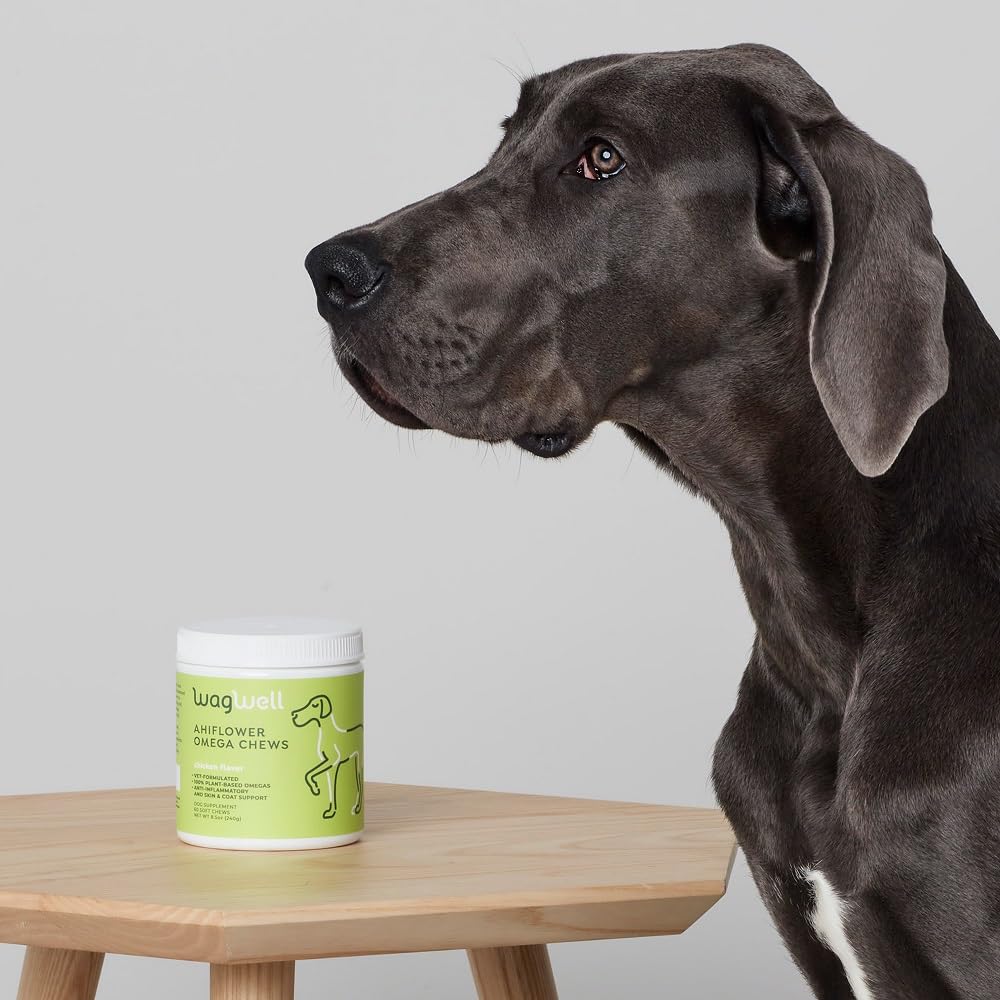 WagWell Ahiflower Omega Chews – Vet-Formulated, All Natural, Made in The USA – Skin, Coat, & Joint Chews for Dogs – Plant-Based Omega 3, 6 & 9 – Dog Fish Oil Alternative, Chicken-Flavored, 60 Chews