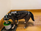 K9 TailSaver: Large Happy Tail Protector for Labrador, Golden Retrieve, Pitty, Doodles – Check Size Chart Image for FIT