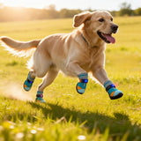 Breathable Light Up Shoes for Dogs & Cats, Anti-Slip LED Motion Breathable Shiny Boots Motion-Activated Pet Shoe (2PCS,1)