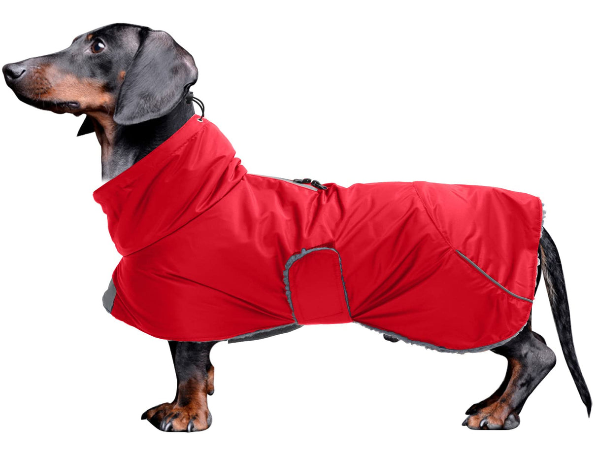 Dachshund Coats Waterproof, Perfect for Dachshunds, Sausage, Weiner Dog Winter Coat with Padded Fleece, Puppy Snowsuit with Adjustable Bands and High Vis Reflective Trim - Red - XS