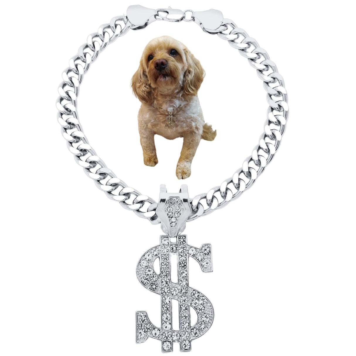 Pet Money Sign Pendant Necklace with Stone Studs, Fashion Jewelry for Dogs and Cats (Silver Tone, 12")