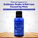 HA4E - Mange Relief for Dogs - Treatment for Itchiness, Scabs, & Hair Loss Caused by Mites - All-Natural, Homeopathic, Non-GMO, Organic, Gluten, Preservative & Chemical Free - 300 Tablets