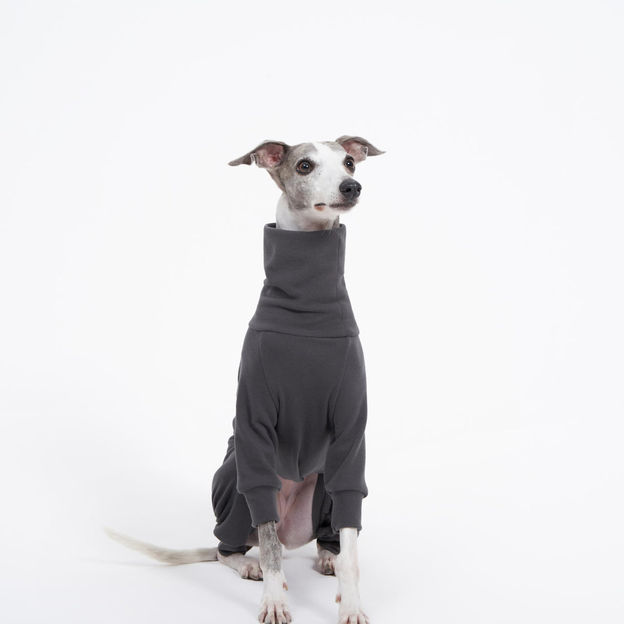 ESCCBOO Cozy Cotton Fluffy Underwear Onesie for Italian Greyhounds and Whippets, Super Soft Warm Pajamas and Jumpsuit(Large, Grey)