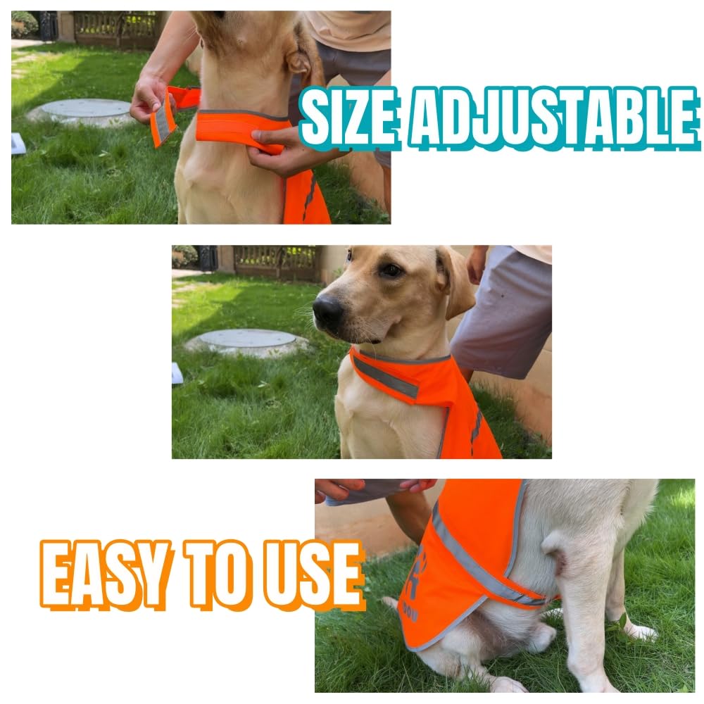 IDOU 2 Pieces Orange Reflective Dog Safety Vest - High Visibility for Walking, Jogging & Training - Size S