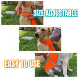 IDOU 2 Pieces Orange Reflective Dog Safety Vest - High Visibility for Walking, Jogging & Training - Size S