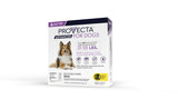 Provecta® Advanced for Large Dogs (21–55 lbs) Flea and Tick Topical Treatment, 4-Month Supply