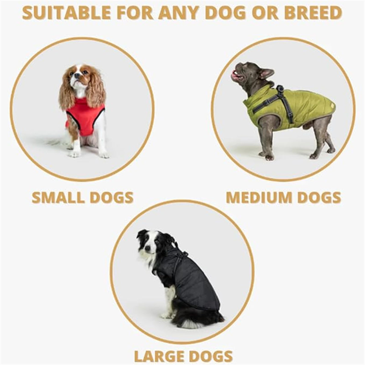 Dog Winter Coat,3 in 1 Winter Jacket, Waterproof Windproof Snow Jacket with Zipper, for Small Medium Large Dogs (Black,Medium)