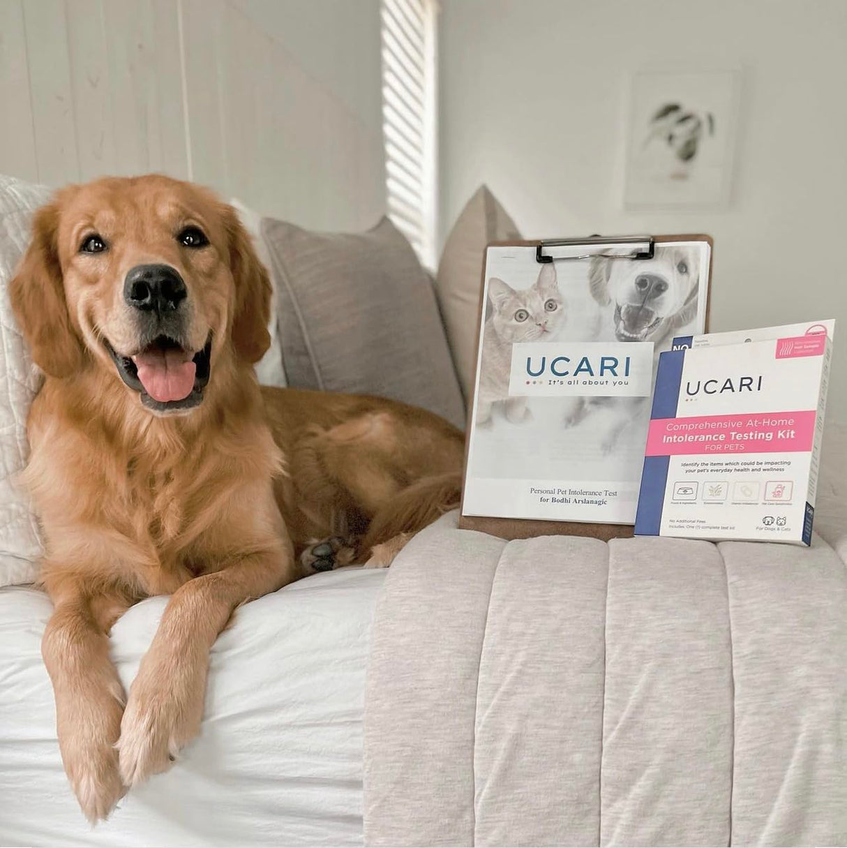 UCARI Pet Sensitivity Test | Screens for 1000+ Intolerances | Food & Environment Analysis | Painless Home Test Hair Sample Method | Results in 48 Hours | Cats & Dogs