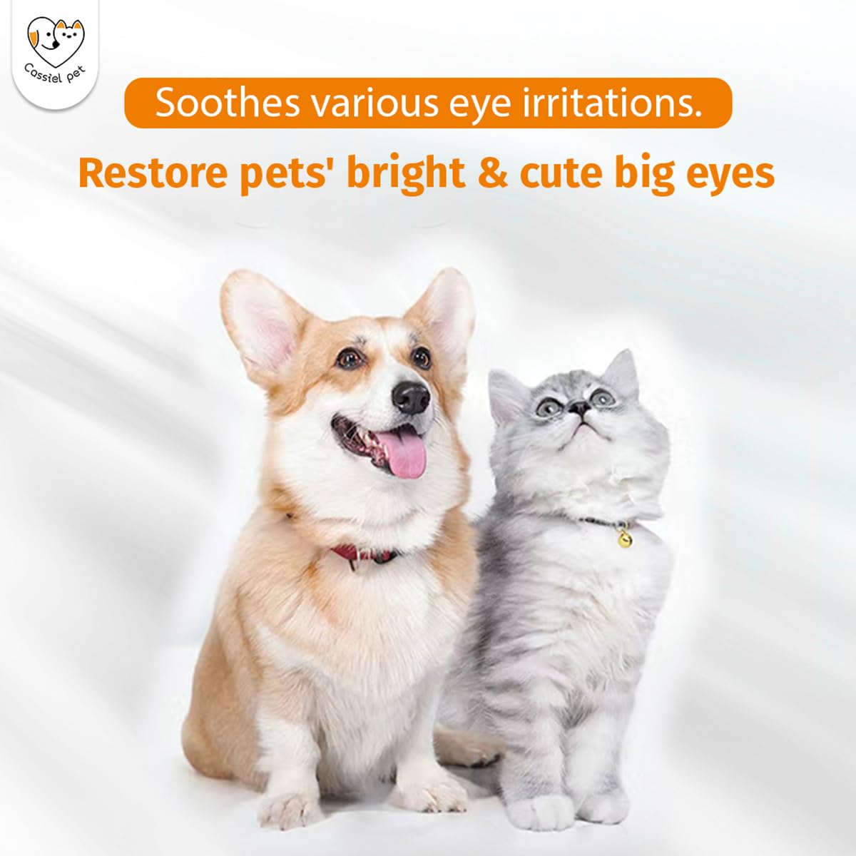 Cassiel pet Eye Drops for Eye Infection Treatment, Soothe Infection Allergy, Relieve Dry Eyes & Red Eye，Eye Cleaner and Tear Stain Remover for Dogs and Cats | 10 ml 0.33 FL OZ (1 Bottle)