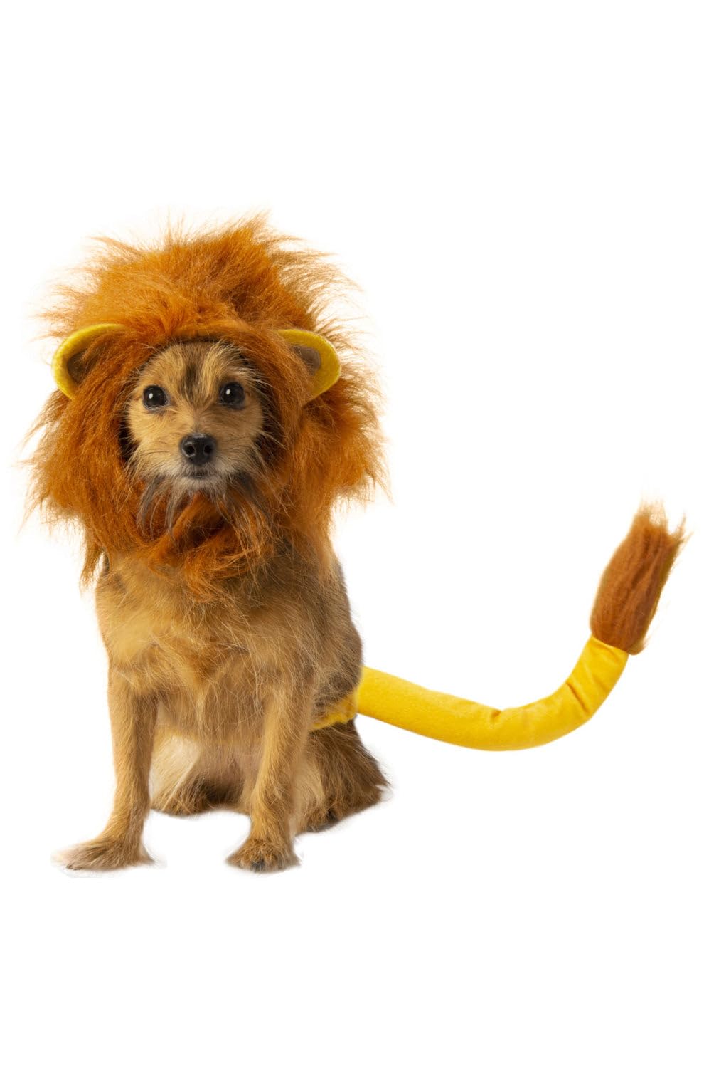 Rubie's Disney Lion King Pet Costume Accessory Set, Simba, Small/Medium