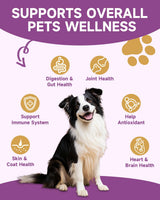 NaSeny Mushroom for Dogs & Cats - Turkey Tail for Dogs - 10 Organic Mushroom Supplement with Turkey Tail, Reishi, Lions Mane - Lumps & Bumps, Immunity, Gut, Skin, Joint Health - Chicken Flavor