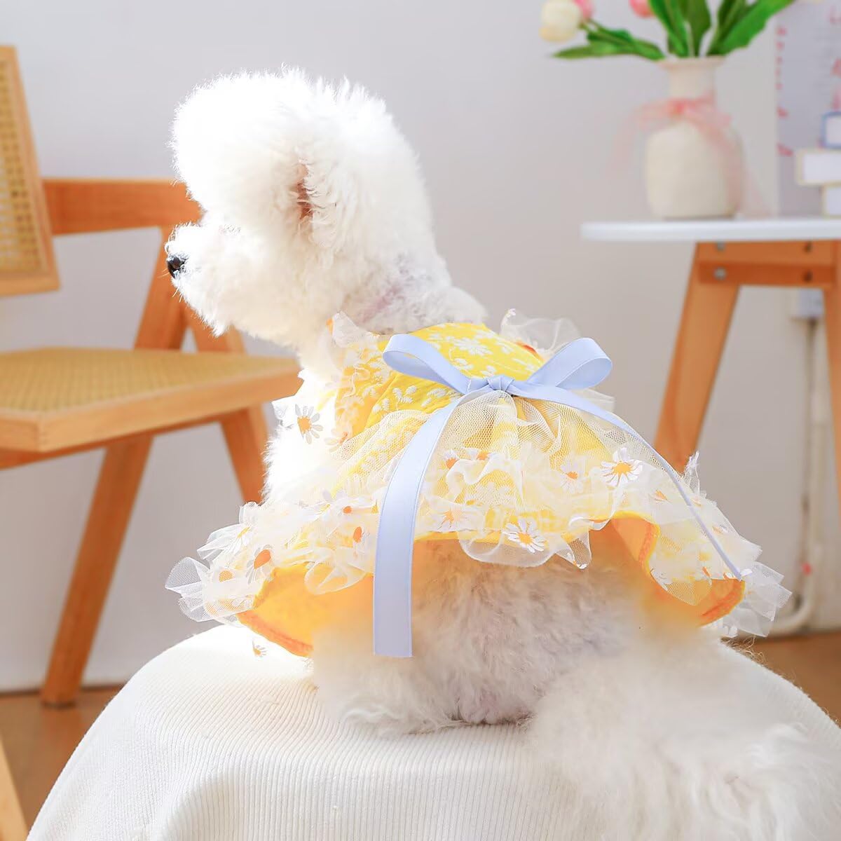 Clopon Small Dog Dress Medium Dog Clothes for Girls Bulldog Party Puppies Tutu Dresses for Doggie Winter Apparels M