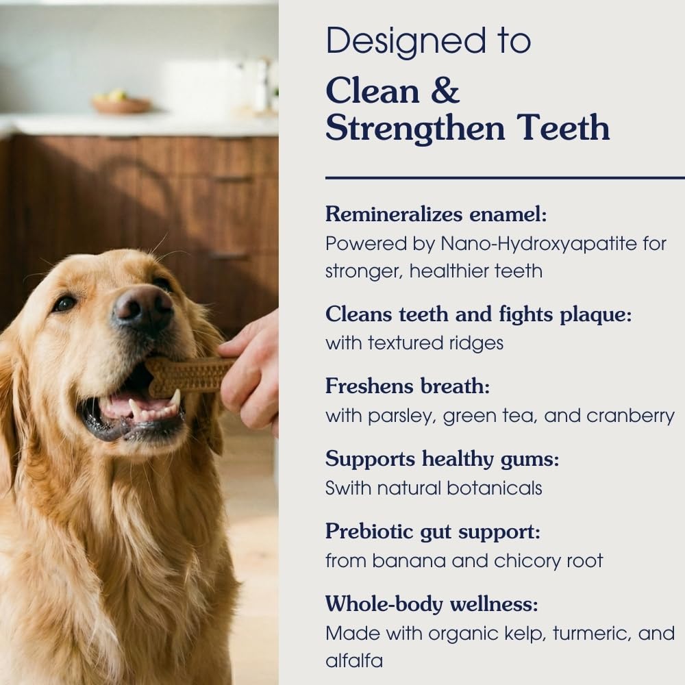 Arterra Pet Science Dog Dental Chews with Nano-Hydroxyapatite Next-Generation Daily Chews for Stronger Teeth, Fresh Breath, and Healthy Gut, 14 Count, Pack of 1