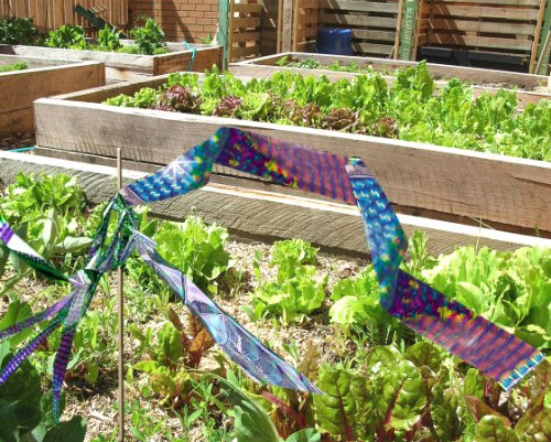 Bird-X Irri-Tape, Holographic Bird Scare Tape, Iridescent Foil Reflective Tape for Multi-Sensory Attack, Easy to Install, 2" W x 500' L