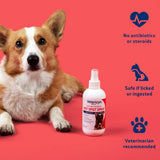 Vetericyn Plus Hot Spot Spray for Dogs Skin Sores and Irritations | Itch Relief for Dogs and Prevents Chewing and Licking at Skin, Safe for All Animals. 8 Ounces