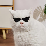 BAIRUYAO 5PCS Cat Dog Sunglasses Classic Retro Pet Glasses，UV Protection Trendy Cute Hip-hop Funny Pet Glasses for Cosplay Costume Photos Props Road Trip Christmas