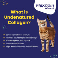 Load image into Gallery viewer, Vetoquinol Flexadin Advanced Dog Hip and Joint Supplement with Undenatured Collagen, One Chew a Day Hip and Joint Support Chew for Dogs and Cats, Clinically Proven Vet-Approved Formula, 30 Chews
