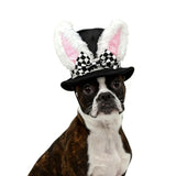 Littledropet Dog Bunny Ear Top Hat,Pet Halloween Easter Rabbit Costume Outfits Plush Hat for Small Medium Large Dogs,Small