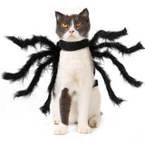 TITA-DONG Halloween Tarantula Costumes, Spider Dog Costume, Artificial Spider Legs, Plush Spider Clothes for Halloween Decorations Accessories(M)
