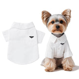 Luxury Pet Dress Shirt – White Designer Button-Up Outfit, Custumes, Formal Dog Shirt for Wedding, Birthday Party, Photoshoot, Puppy & Kitten Fashion Apparel (Medium 5.6–8.8 lbs)