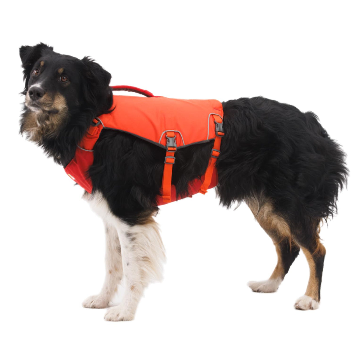 Ruffwear, Confluence Life Jacket for Dogs, Comfortable and Adjustable Dog Life Vest with Reinforced Handles, Leash Connection, and Reflective Accents, Tangelo Orange, Small