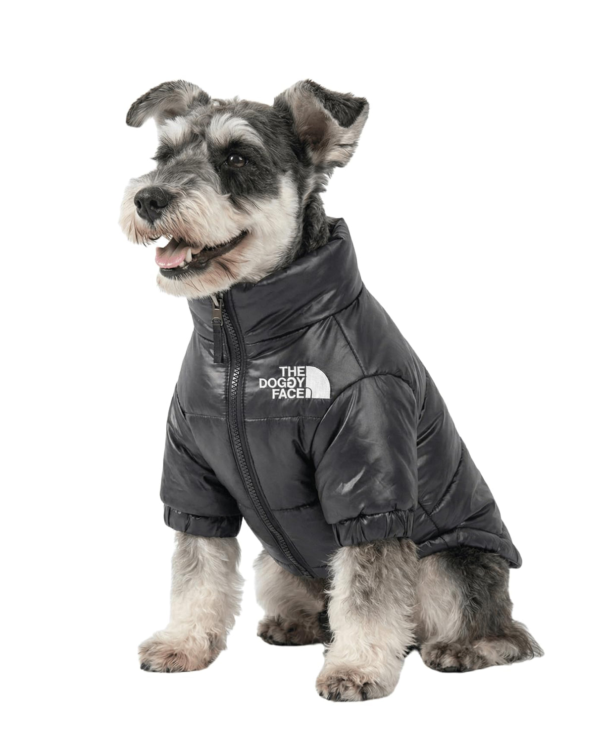 Pet Dog Warm Clothes Lightweight Puppy Coats Small Dogs Warm Jacket for Small Dogs, Medium