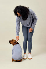 Darren & Phillip BFF Dog Sweatshirt | Slate – 100% Cotton French Terry, Soft & Breathable Pullover for Dogs, Stylish & Comfortable Pet Sweater, Matches Darren & Phillip Human Sweatshirt Loungewear