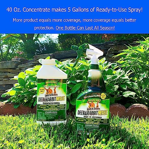 Nature's MACE Deer & Rabbit Repellent 1 Gal Spray/Covers 5,600 Sq. Ft. / Repel Deer from Your Home & Garden/Safe to use Around Children, Plants & Produce/Protect Your Garden Instantly