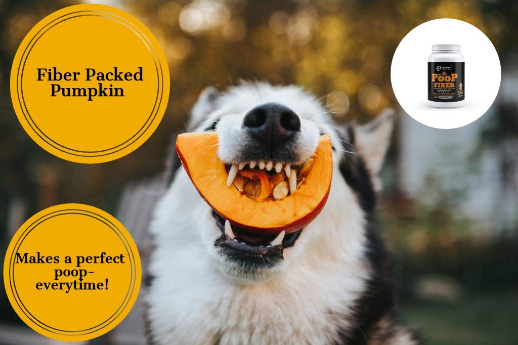 Poop Fixer Carrot & Pumpkin Powder for Dogs & Cats – Digestive Support & Fiber Supplement – Firm Stool, Healthy Poop, Anal Gland Support, Dog Diarrhea & Cat Constipation Relief – 13.4 oz