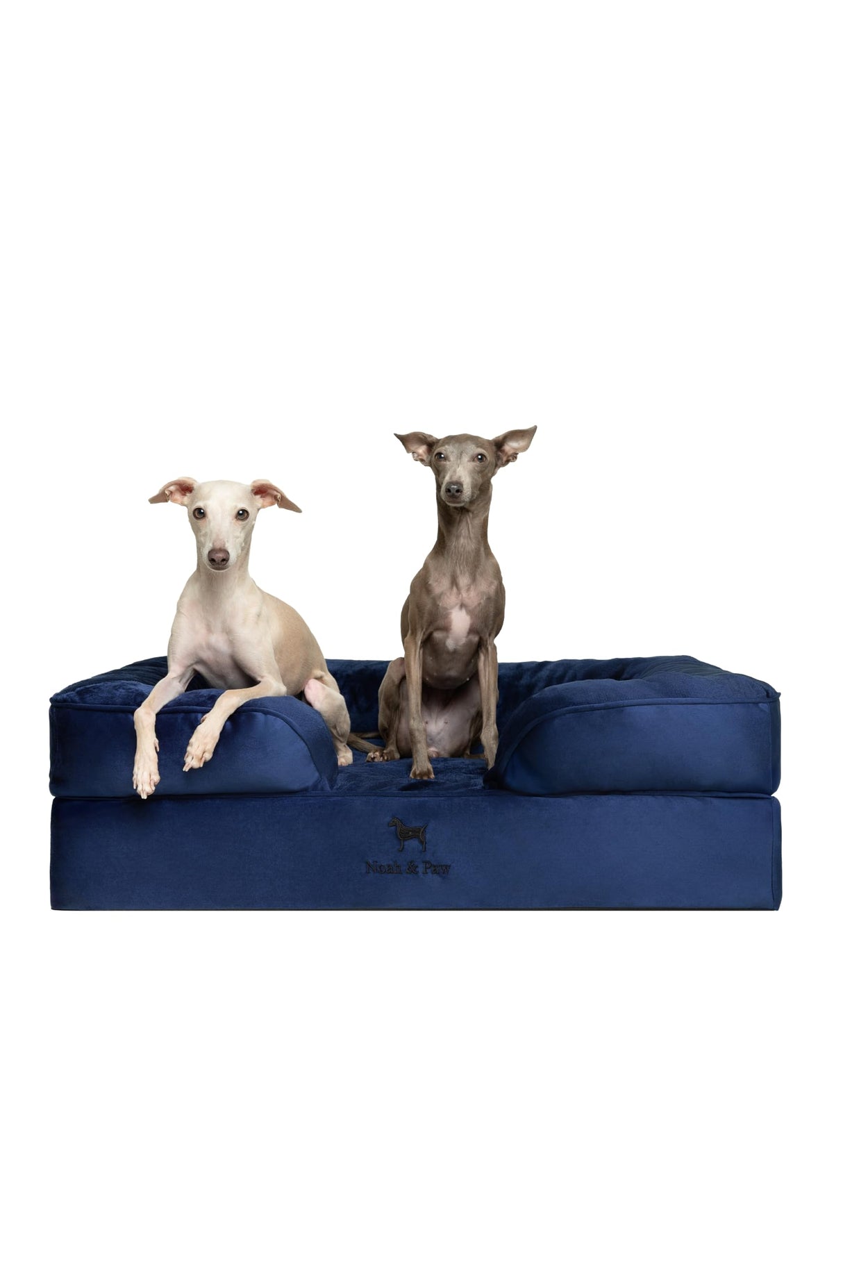 NOAH & PAW Large Dog Bed, 35x25x11 Inch, Orthopedic Dog Beds, Eggshell Memory Foam Infused with Cooling Gel, Inner Cover, Waterproof, Machine Washable (Velvet Sofa Collection)
