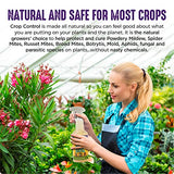 Trifecta Crop Control Ready to Use Maximum Strength Natural Pesticide, Fungicide, Miticide, Insecticide, Help Defeat Spider Mites, Powdery Mildew, Botrytis and Mold on Plants 16 OZ Size