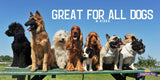 Kingdom Pets Chicken Jerky Dog Treats with Only 3 Ingredients and No Fillers, 3 Pound Bag