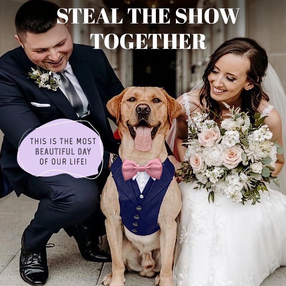 AVERYDAY Dog Tuxedo for Wedding Outfit, Dog Suit and Tie Costumes for Birthday, Halloween, Cosplay, Christmas Party, Pet Formal Wear with Bowtie, Tux for Medium Large Dogs, Bulldog, Labrador, Husky
