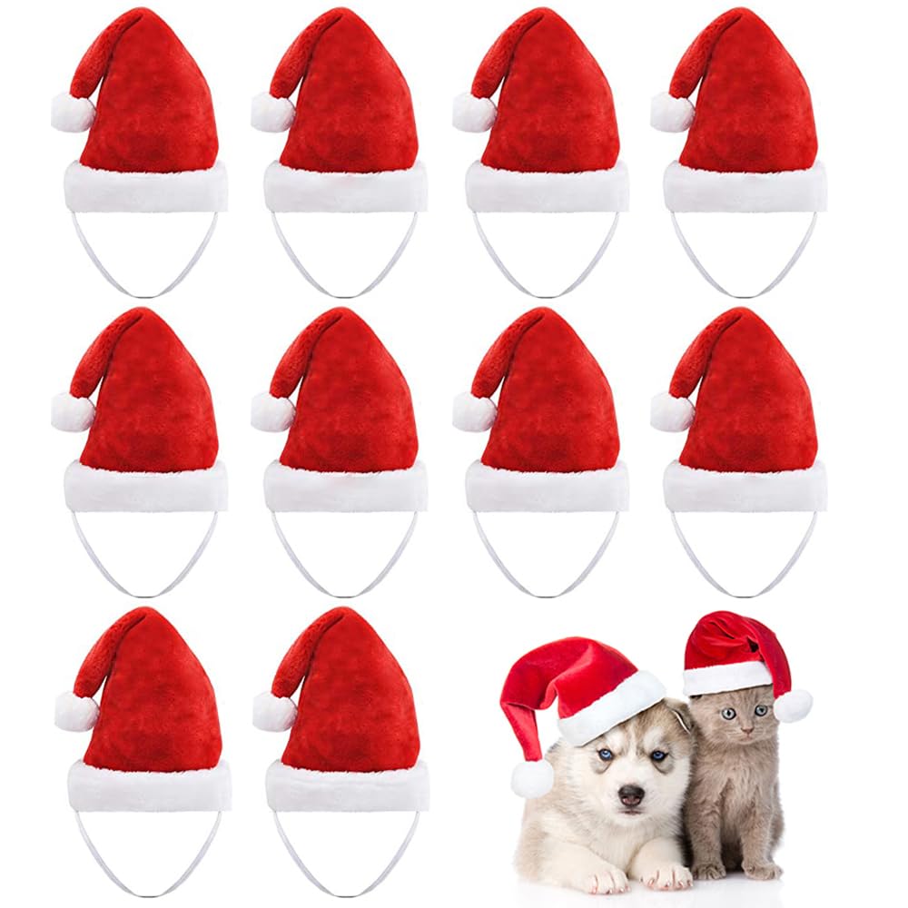 Beiabang 10 Pcs Dog Cat Pet Santa Hat Christmas Pet Costumes Santa Hat Pet Christmas Photo Props for Puppy Kitten Small Cats Dog