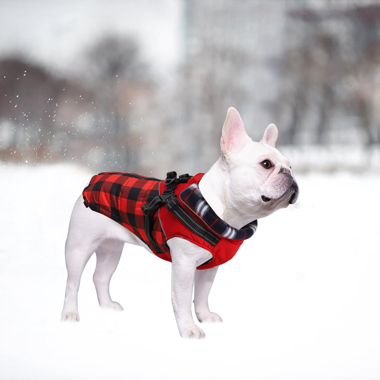Dog Coat with Harness,Small Dog Winter Coat,Doggie Jackets with Built in Harness,Adjustable Warm Jacket for Medium Large Dogs,Pet Puppy Cold Weather Coats for Dogs Waterproof (PlaidRed, Medium)