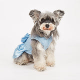 PawPleasure Dog Dress Pet Wedding Dress Princess Puppy Birthday Party Outfit Formal Apparel Girl for Small Medium Dogs Cats (Light Blue, Large)