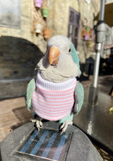 Bird Clothes - Handmade Cotton Stripe Shirt Round Collar Sweater Flight Suit for Parrots African Greys Parakeet Cockatiel Sun Conure Christmas Halloween Cosplay Apparel Bird Supplies (5XL,Pink)