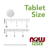 NOW Pet Health, G.I. Support Supplement, Formulated for Cats & Dogs, NASC Certified, 90 Chewable Tablets