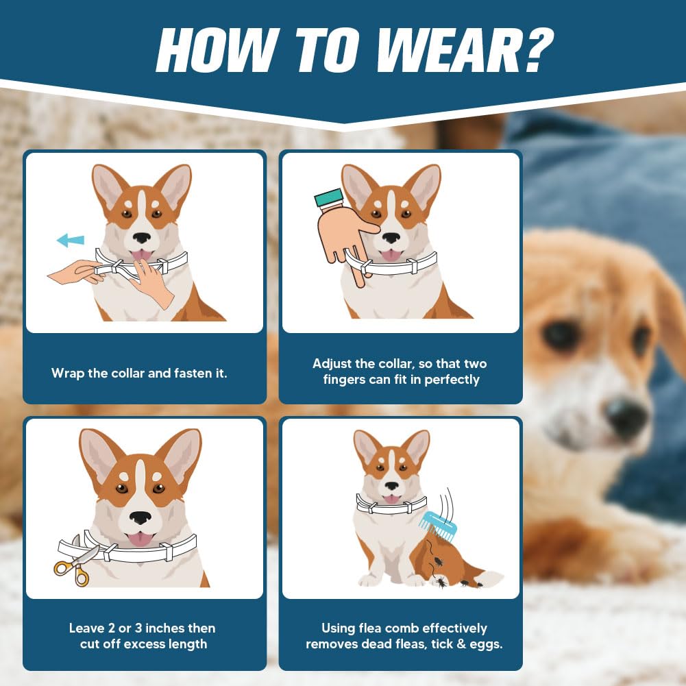 AMDEIUR Flea and Tick Collar for Puppies, Dog Tick Collars, Flea Collar for Small Dogs, Waterproof, 8 Months Protection Each, One Size Fits All-2P