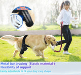 Tinzum L Dog Leg Braces for Back Leg for Support with Cruciate Ligament Injury-Better Recovery with Dog Knee Brace for Torn Acl Hind Leg-Adjustable Hip Dysplasia Dog Acl Brace Hind Leg Rear