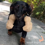 Cat/Dog Muscle Arm Costume, 3D Printed Cute Funny Accessory for Small Medium Pets Halloween Christmas Parties (Orange, M)